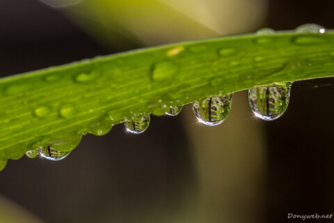 IMG_8812 null