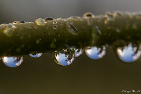 IMG_8828 null