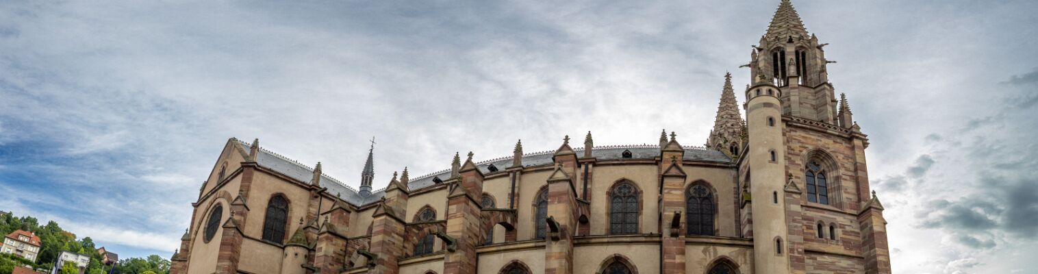 2025.07.26 Cathedrale d'Obernai -67 (10i)
